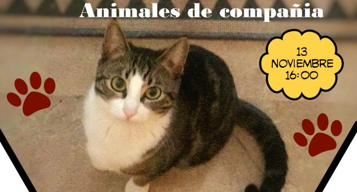 CHARLA SOBRE REGULACIÓN ADMINISTRATIVA DE LOS ANIMALES DE COMPAÑÍA EN LA COMUNIDAD VALENCIANA